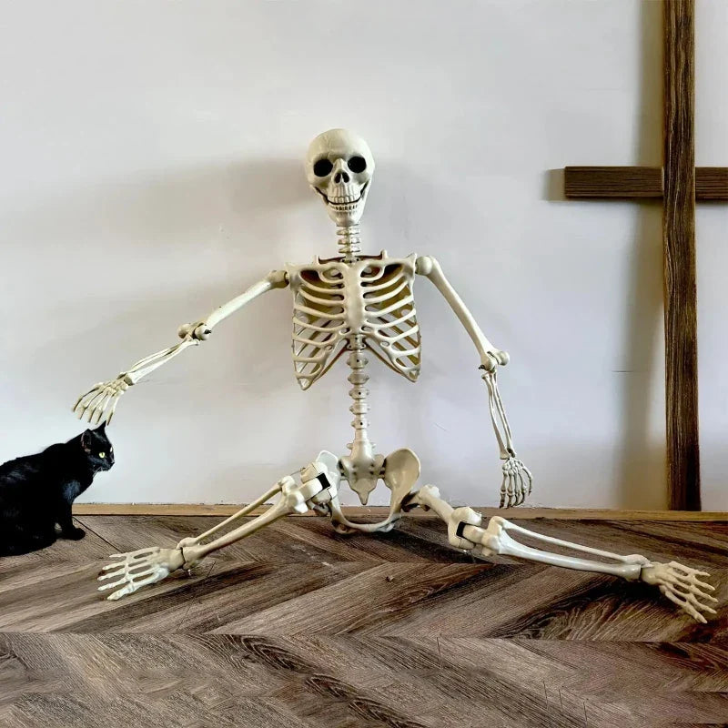 Scheletro realistico a grandezza naturale, decorazione per casa stregata di Halloween