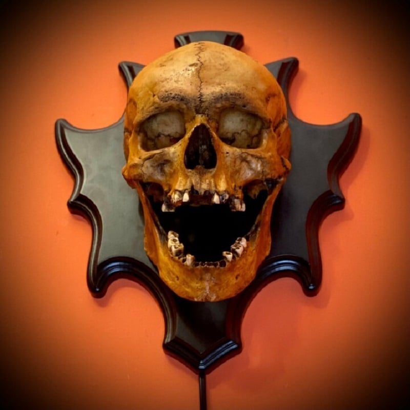 LED Skull Wall Lamp with Melody Halloween Decor